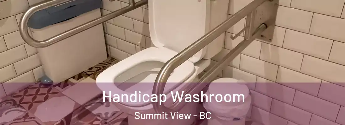  Handicap Washroom Summit View - BC