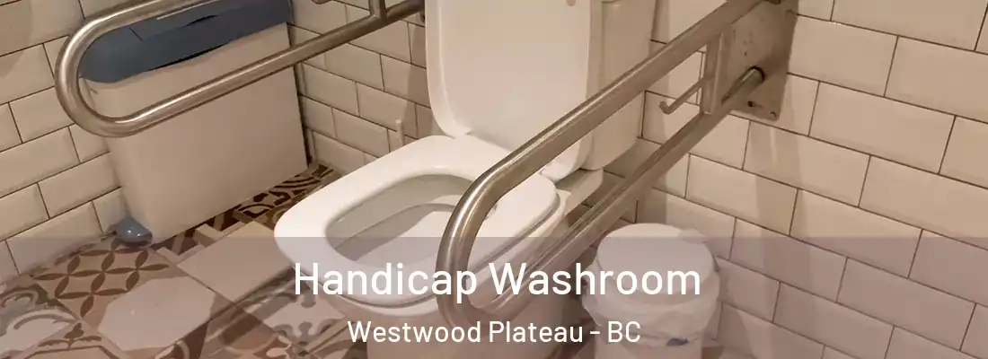  Handicap Washroom Westwood Plateau - BC