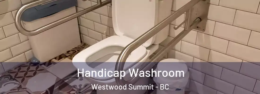  Handicap Washroom Westwood Summit - BC