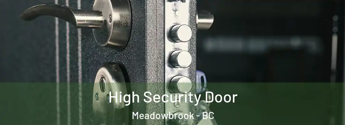  High Security Door Meadowbrook - BC