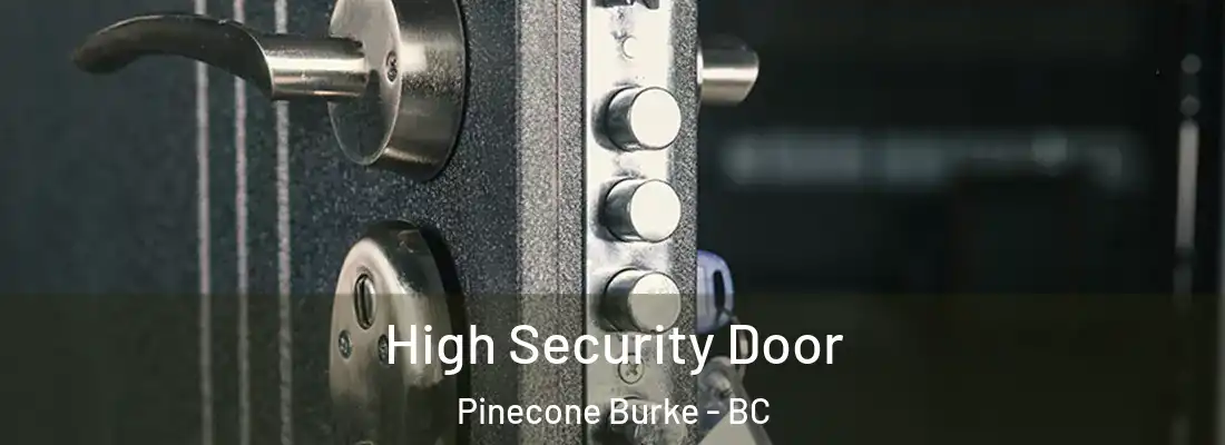  High Security Door Pinecone Burke - BC