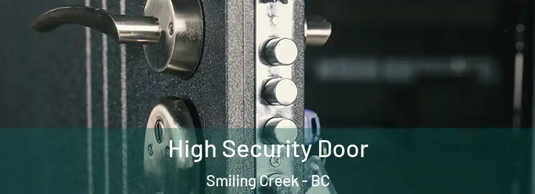  High Security Door Smiling Creek - BC