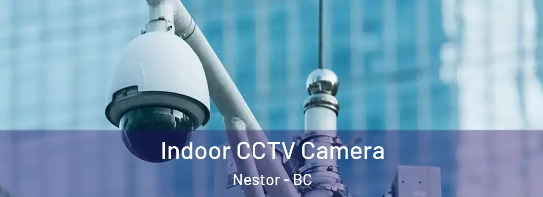  Indoor CCTV Camera Nestor - BC