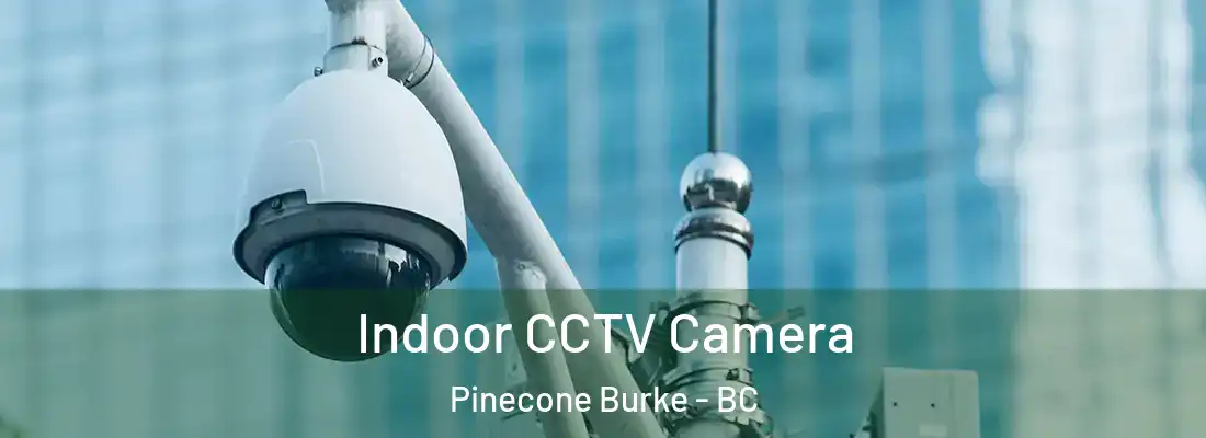  Indoor CCTV Camera Pinecone Burke - BC