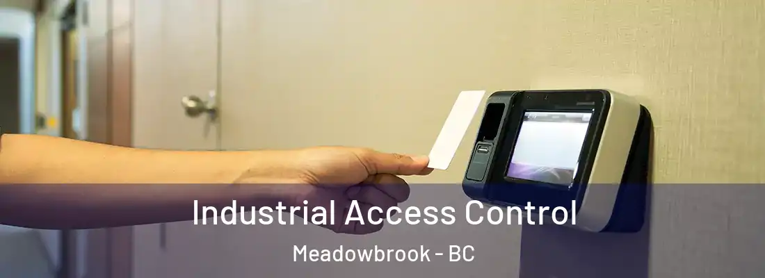  Industrial Access Control Meadowbrook - BC