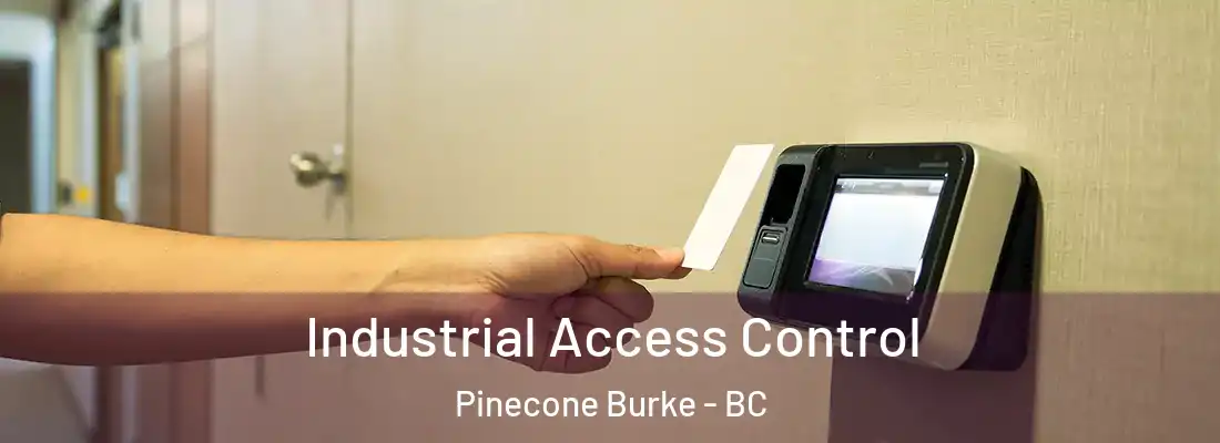  Industrial Access Control Pinecone Burke - BC