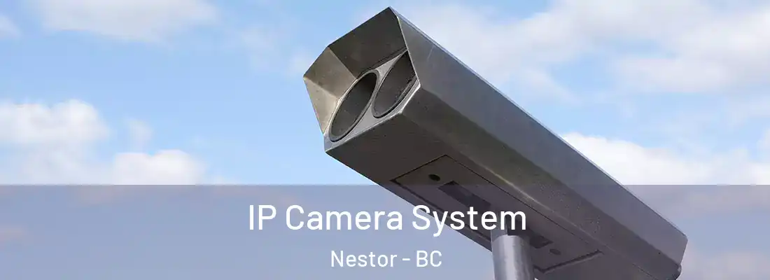  IP Camera System Nestor - BC