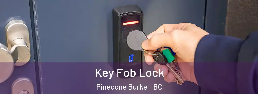  Key Fob Lock Pinecone Burke - BC