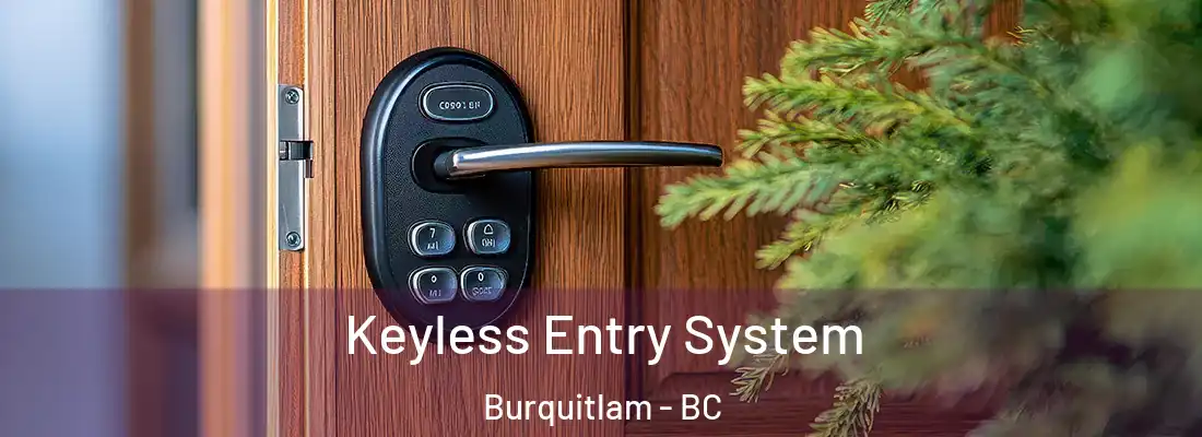  Keyless Entry System Burquitlam - BC