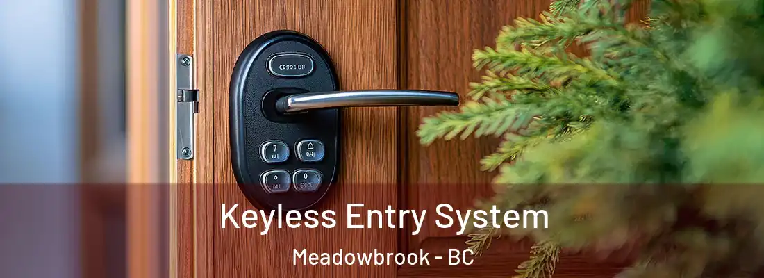  Keyless Entry System Meadowbrook - BC