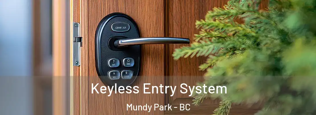  Keyless Entry System Mundy Park - BC