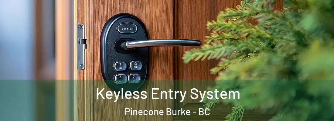  Keyless Entry System Pinecone Burke - BC