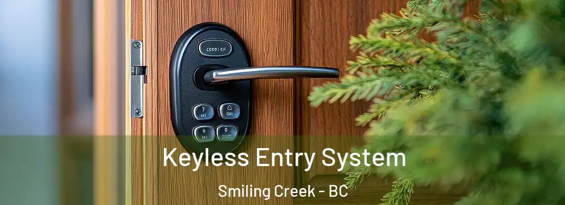  Keyless Entry System Smiling Creek - BC