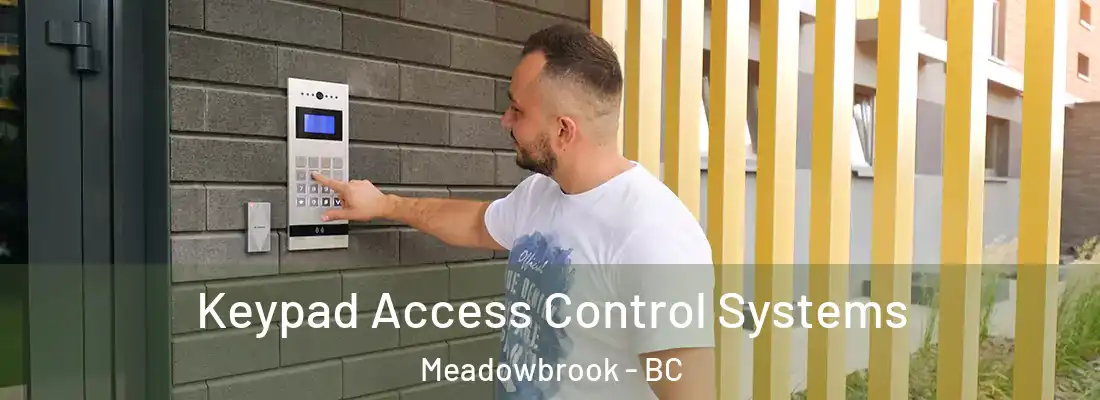  Keypad Access Control Systems Meadowbrook - BC