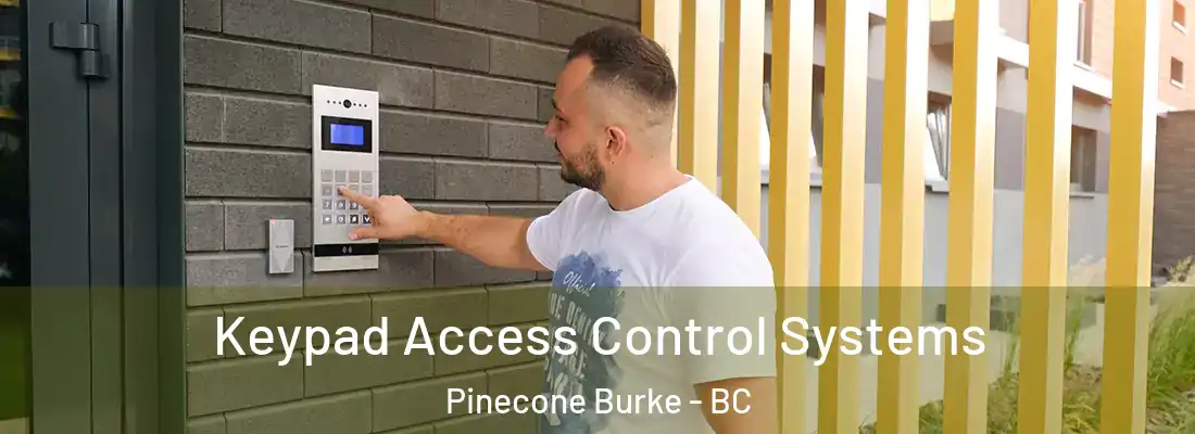  Keypad Access Control Systems Pinecone Burke - BC