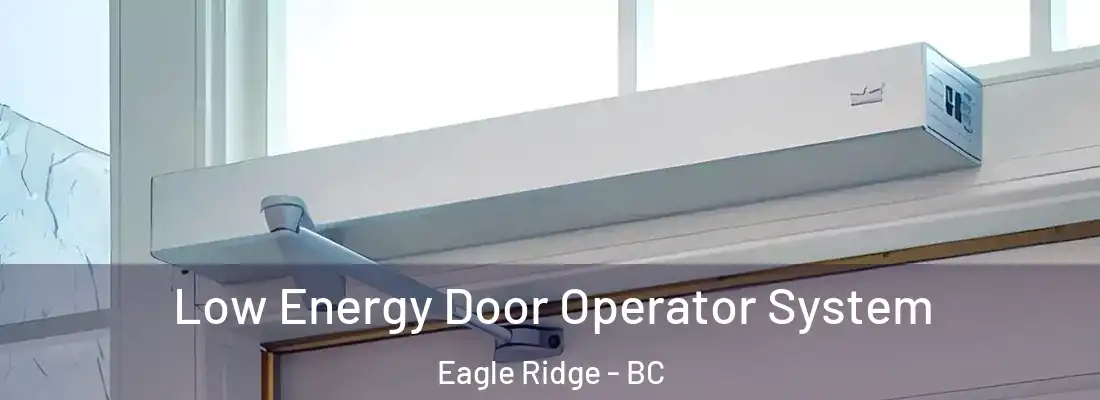 Low Energy Door Operator System Eagle Ridge - BC