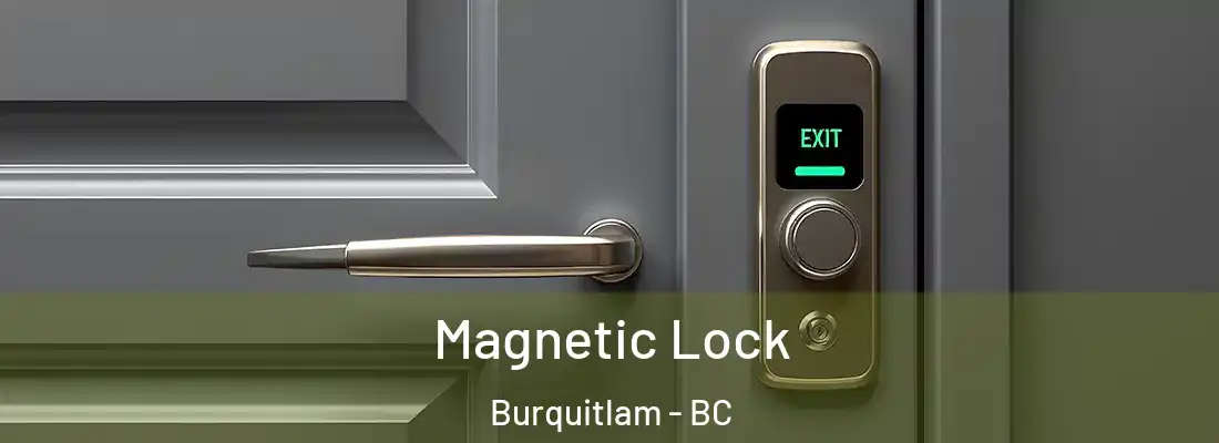  Magnetic Lock Burquitlam - BC