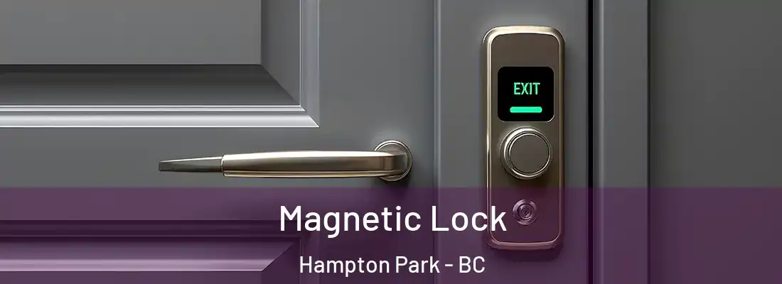  Magnetic Lock Hampton Park - BC