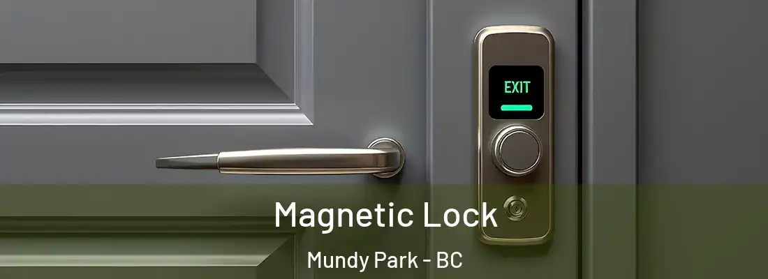  Magnetic Lock Mundy Park - BC