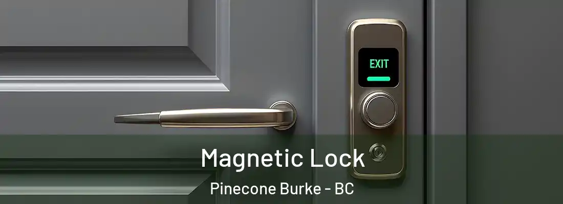  Magnetic Lock Pinecone Burke - BC