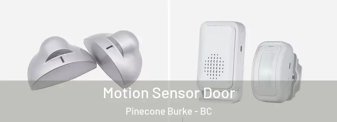  Motion Sensor Door Pinecone Burke - BC
