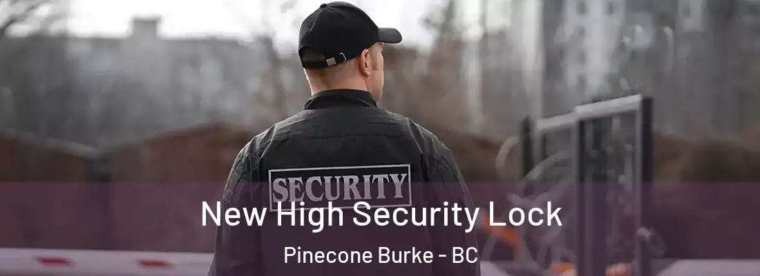  New High Security Lock Pinecone Burke - BC