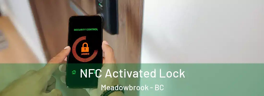  NFC Activated Lock Meadowbrook - BC