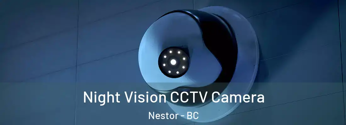  Night Vision CCTV Camera Nestor - BC