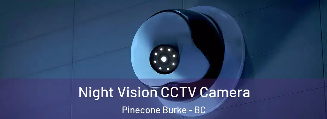  Night Vision CCTV Camera Pinecone Burke - BC