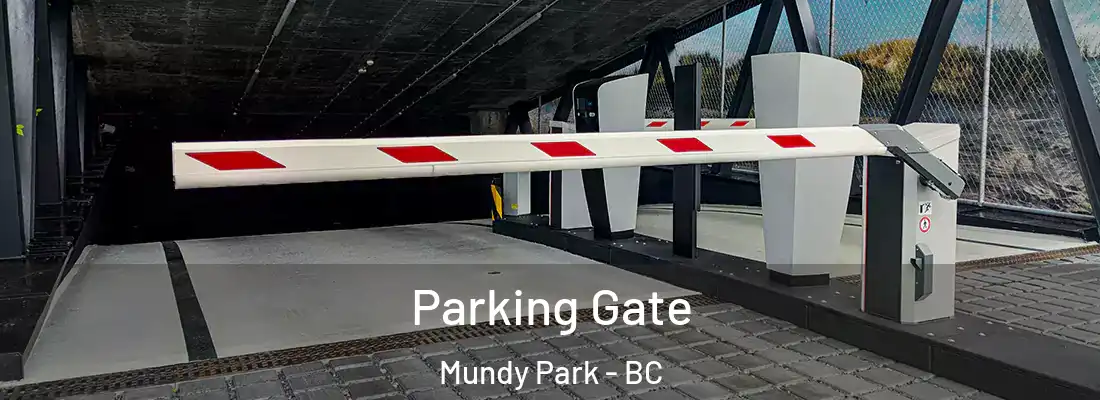  Parking Gate Mundy Park - BC