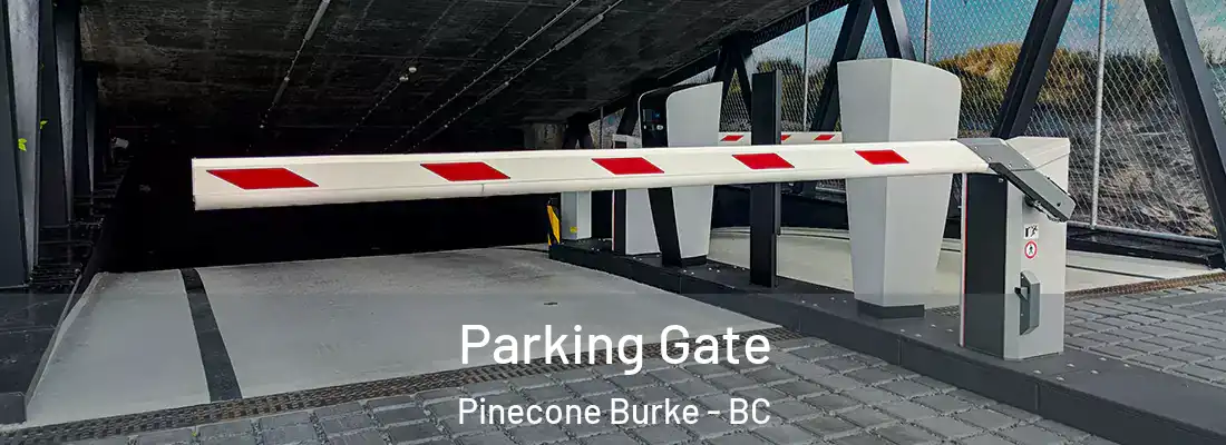  Parking Gate Pinecone Burke - BC