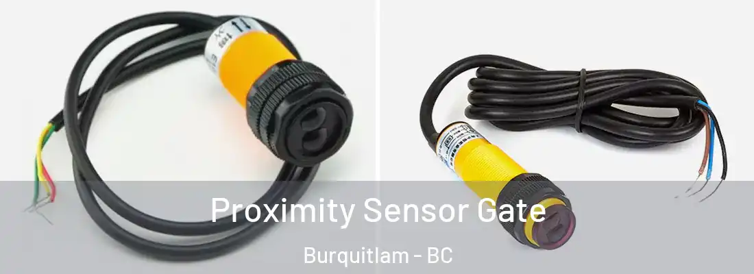 Proximity Sensor Gate Burquitlam - BC