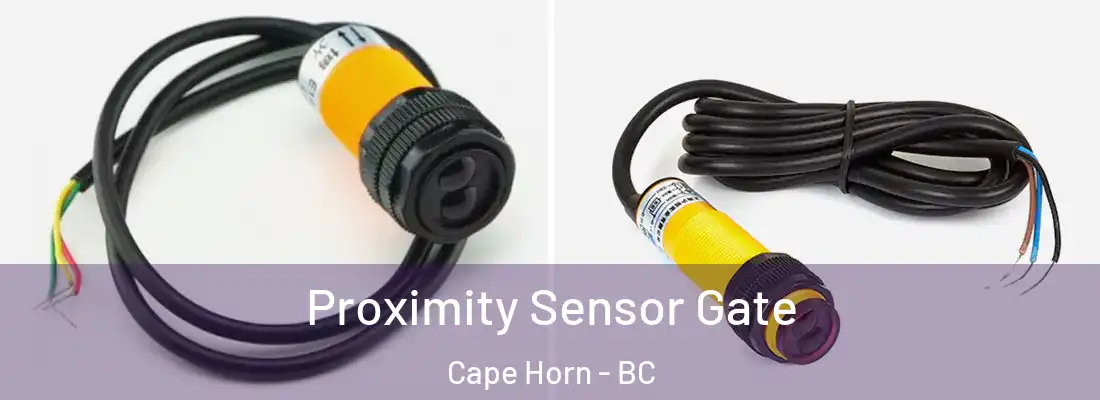  Proximity Sensor Gate Cape Horn - BC