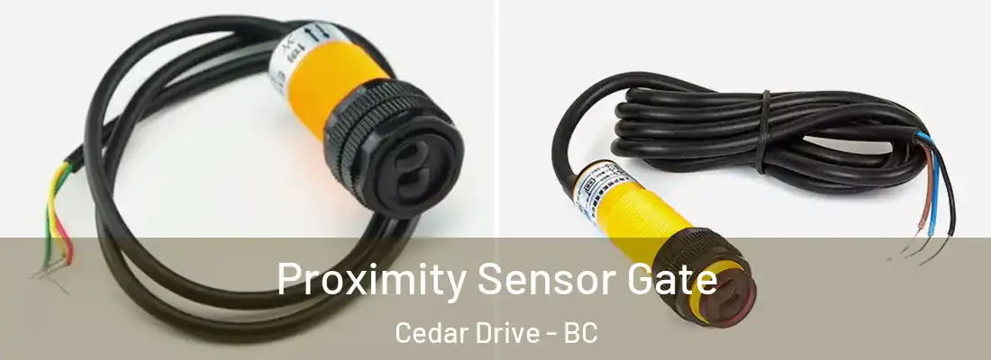  Proximity Sensor Gate Cedar Drive - BC