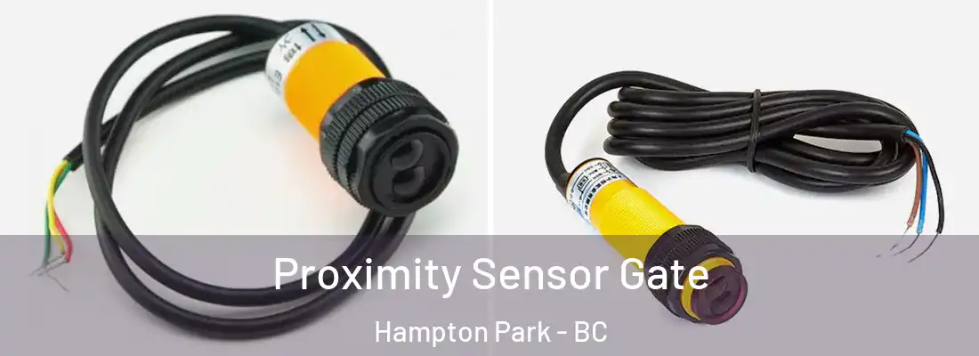  Proximity Sensor Gate Hampton Park - BC