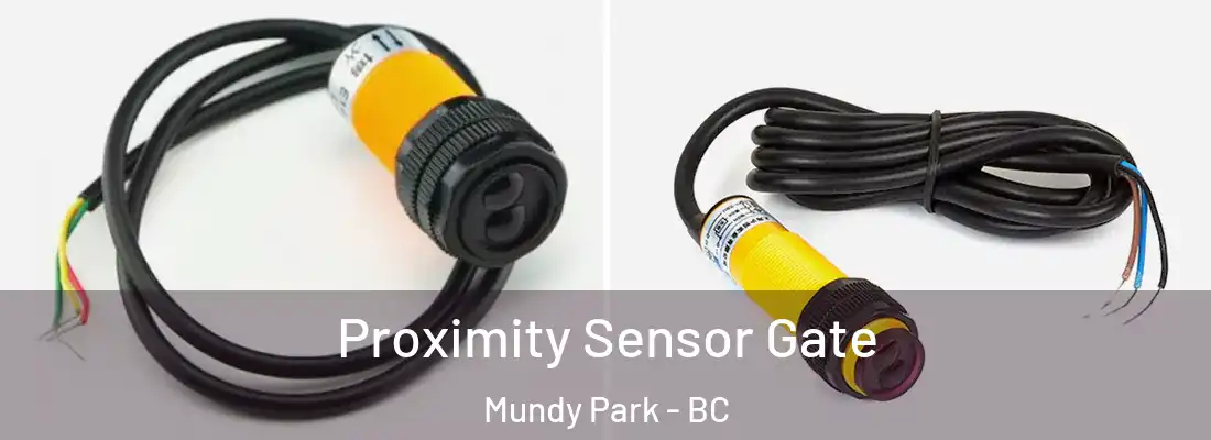  Proximity Sensor Gate Mundy Park - BC