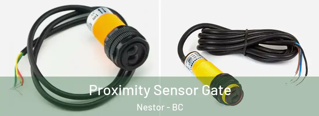  Proximity Sensor Gate Nestor - BC