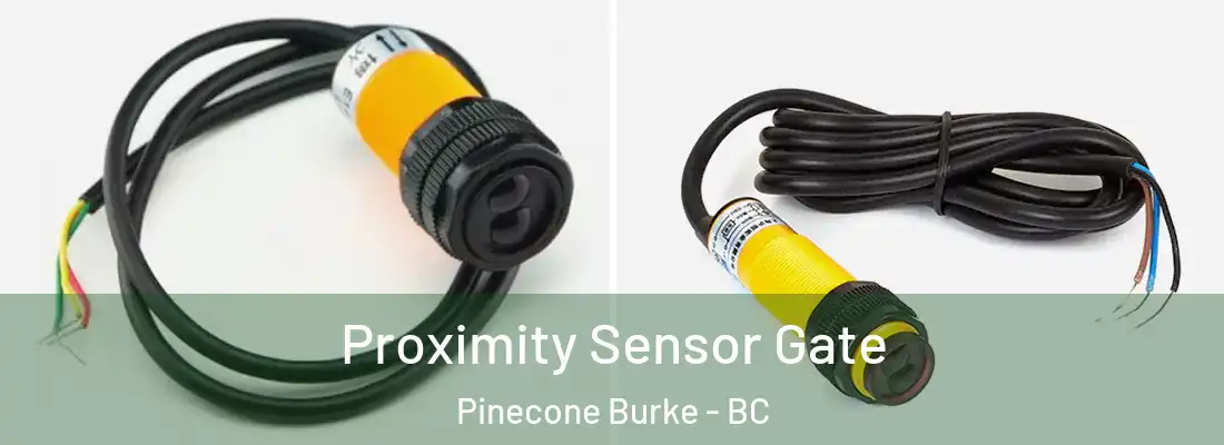 Proximity Sensor Gate Pinecone Burke - BC