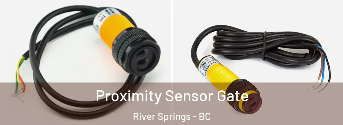  Proximity Sensor Gate River Springs - BC