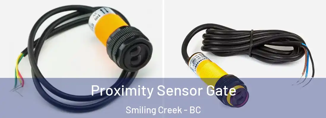  Proximity Sensor Gate Smiling Creek - BC