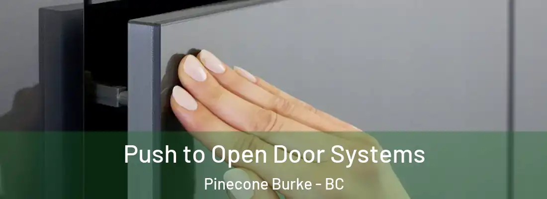  Push to Open Door Systems Pinecone Burke - BC