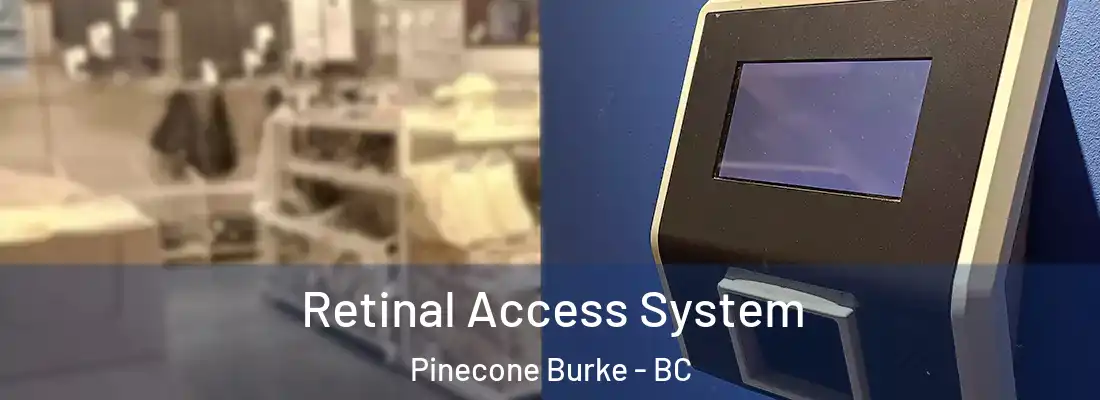  Retinal Access System Pinecone Burke - BC
