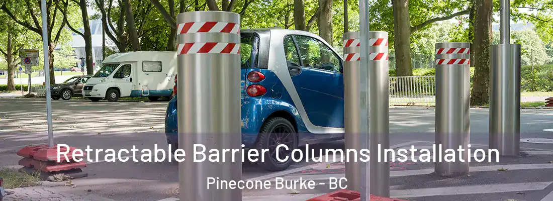  Retractable Barrier Columns Installation Pinecone Burke - BC