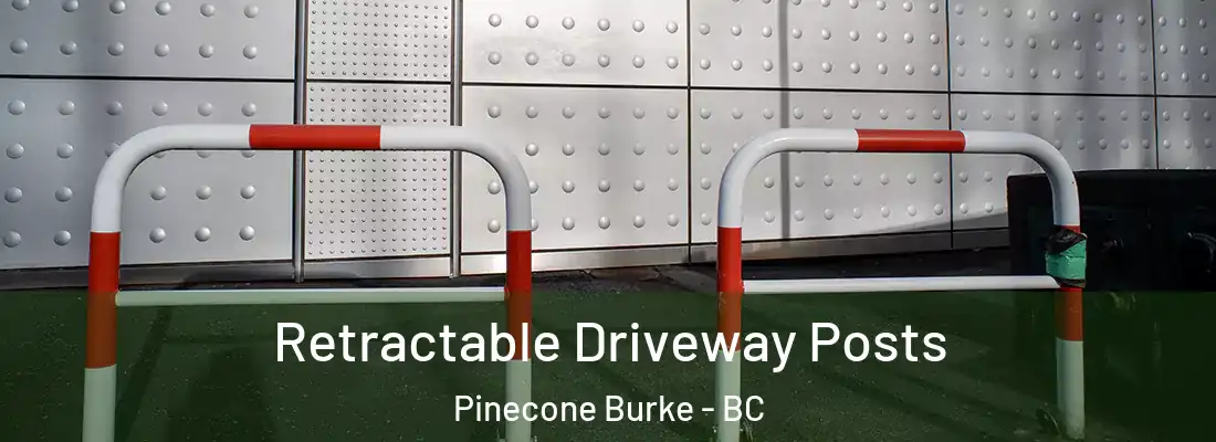  Retractable Driveway Posts Pinecone Burke - BC