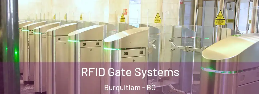  RFID Gate Systems Burquitlam - BC