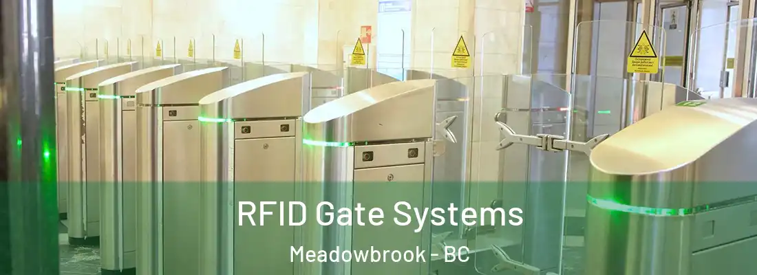  RFID Gate Systems Meadowbrook - BC