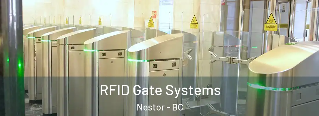  RFID Gate Systems Nestor - BC