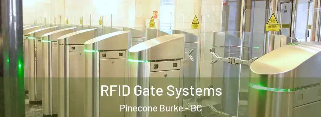  RFID Gate Systems Pinecone Burke - BC