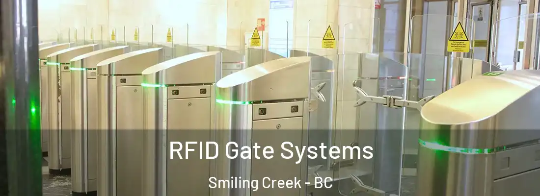  RFID Gate Systems Smiling Creek - BC