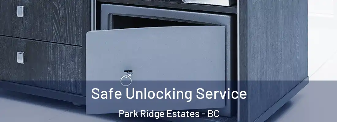  Safe Unlocking Service Park Ridge Estates - BC